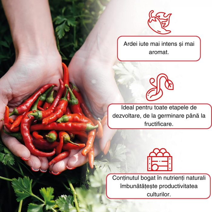 Pământ Ardei Iute Profesional, Substrat pentru Semănat Ardei Iuți, Potrivit pentru întreaga fază de viață a plantei Crește randamentul și iuțeala ardeilor [2]
