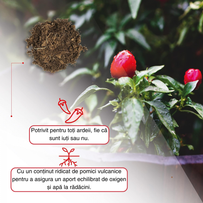Pământ Ardei Iute Profesional, Substrat pentru Semănat Ardei Iuți, Potrivit pentru întreaga fază de viață a plantei Crește randamentul și iuțeala ardeilor [4]
