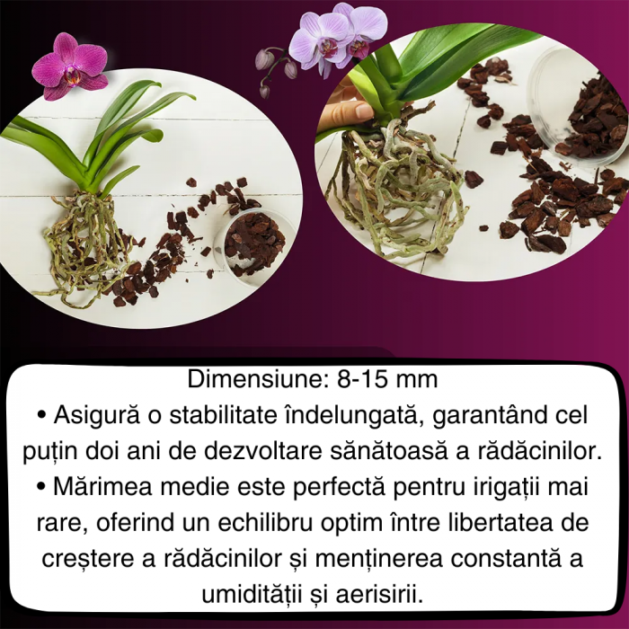 pamant profesional pentru orhidee [5]