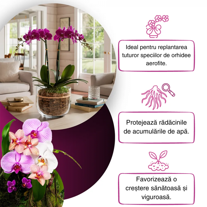 pamant profesional pentru orhidee [4]