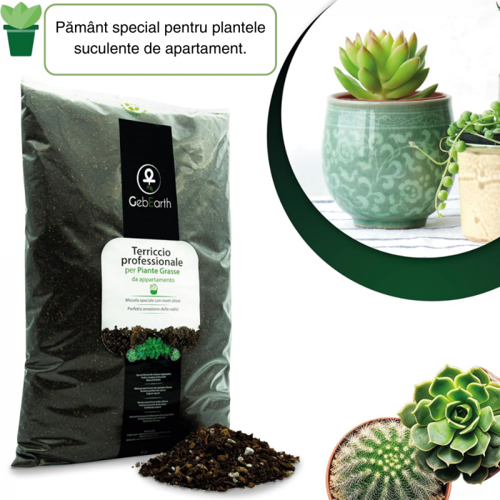 Pământ Cactuși si Suculente Profesional Substrat Ideal pentru Cactaceae și Alte Suculente de Interior [3]