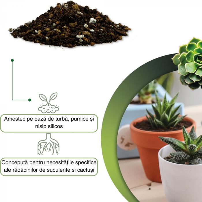 Pământ Cactuși si Suculente Profesional Substrat Ideal pentru Cactaceae și Alte Suculente de Interior [5]