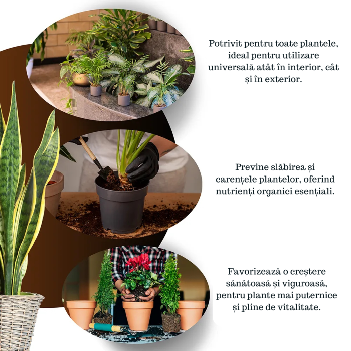 Pământ Universal Proteic  – Nutrire Graduală până la 24 luni, pentru Plante în Ghiveci [5]