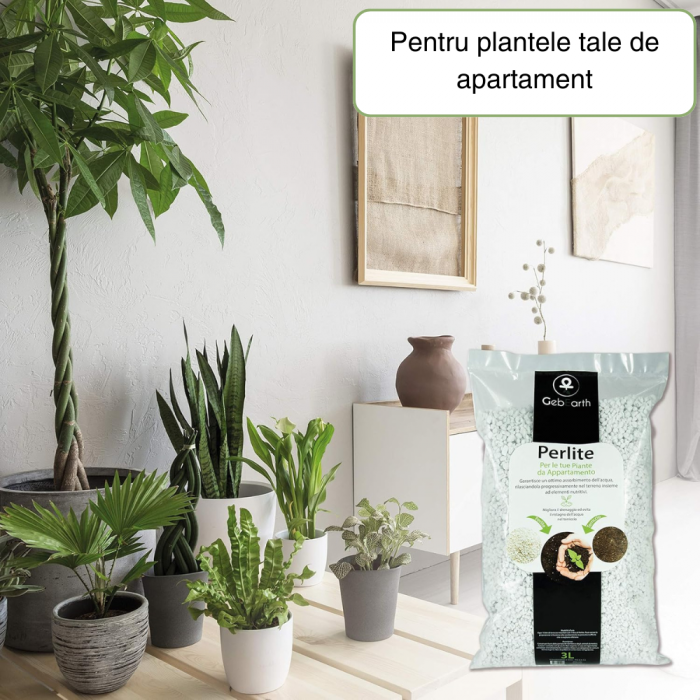 Perlit pentru plante de Interior si exterior [3]