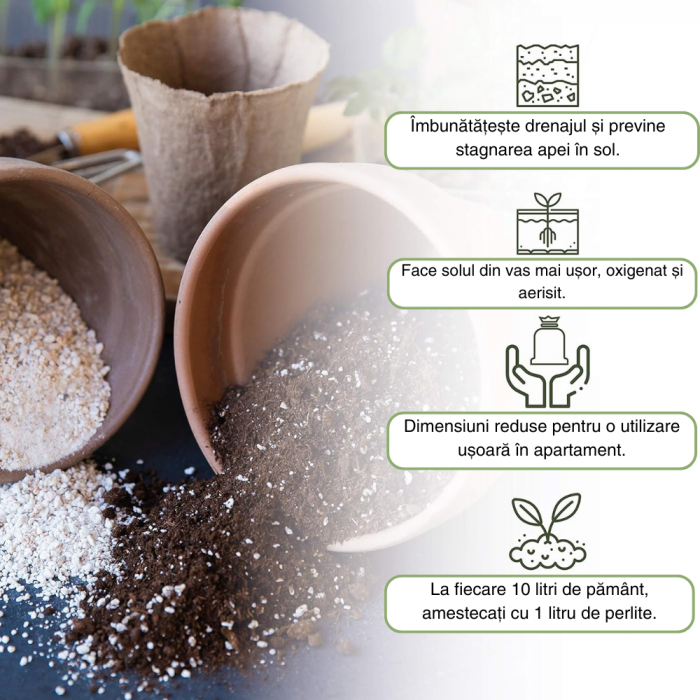Perlit pentru plante de Interior si exterior [2]