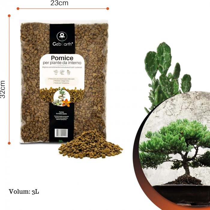 Piatra Pumice 3L Pomice [5]