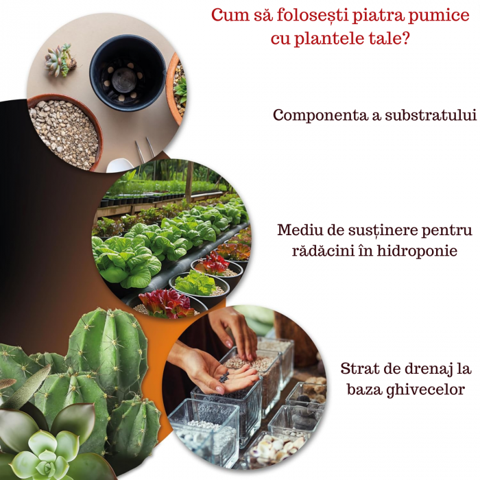 Piatra Pumice 3L Pomice [2]