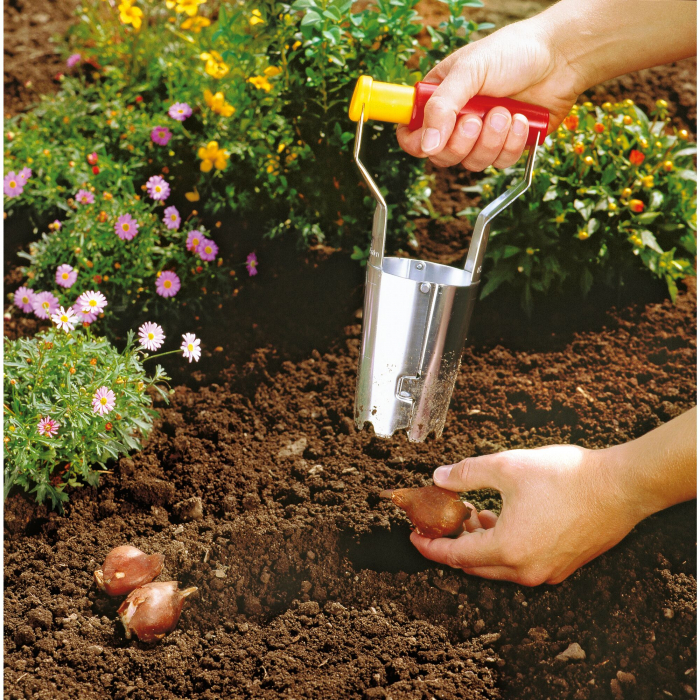 Plantator Bulbi [3]