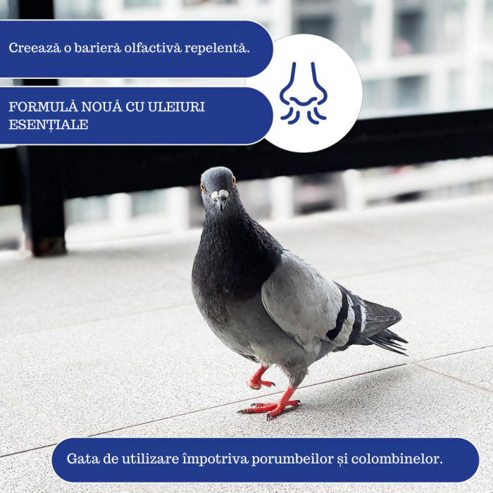 Repelent pentru porumbei 1 L  Dezobișnuitor pentru porumbei, barieră vegetală olfactivă anti-porumbei și pescăruși pentru balcon, terasă și grădină [3]