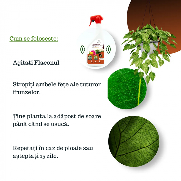 Tripla Acțiune împotriva afidelor, muștelor albe, făinare, mana si acarieni - spray - 1L - extract urzica si coada calului [8]