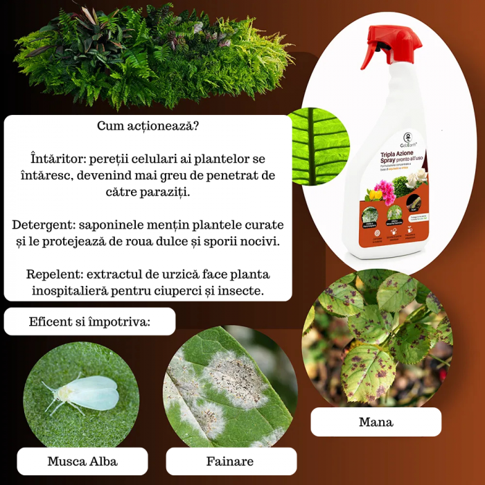 Tripla Acțiune împotriva afidelor, muștelor albe, făinare, mana si acarieni - spray - 1L - extract urzica si coada calului [3]