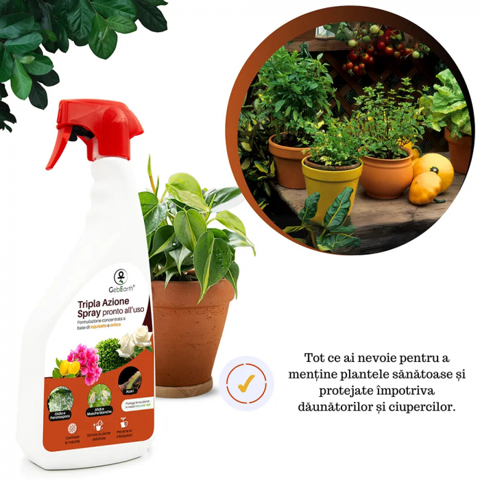 Tripla Acțiune împotriva afidelor, muștelor albe, făinare, mana si acarieni - spray - 1L - extract urzica si coada calului [5]