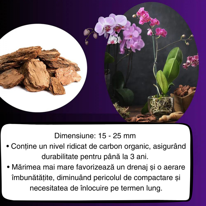 Scoarță Orhidee MARE 1,5-2cm - Mulci - 3L [5]