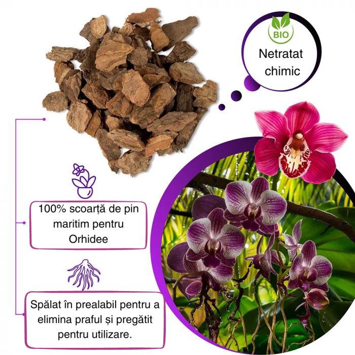 Scoarță Orhidee MARE 1,5-2cm - Mulci - 3L [3]