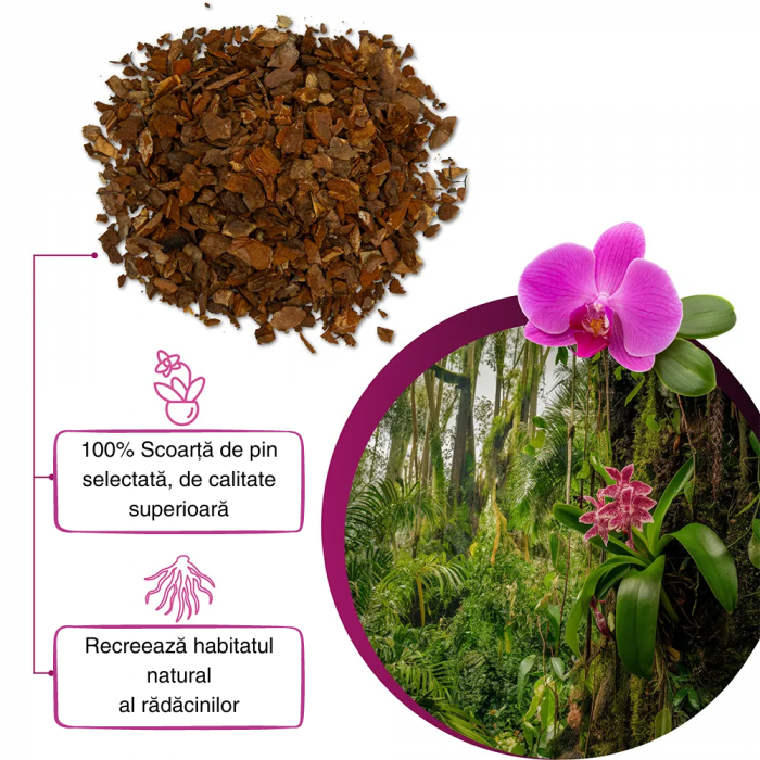 Set Orhidee - Pământ Orhidee 3L + Permit 3L [2]