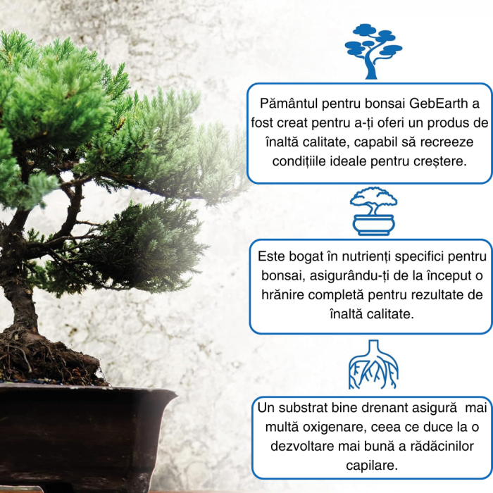 Pământ Bonsai Profesional  - Substrat pentru Rădăcini Mai Puternice și Aerare Optimă [2]