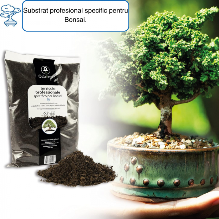 Pământ Bonsai Profesional  - Substrat pentru Rădăcini Mai Puternice și Aerare Optimă [4]