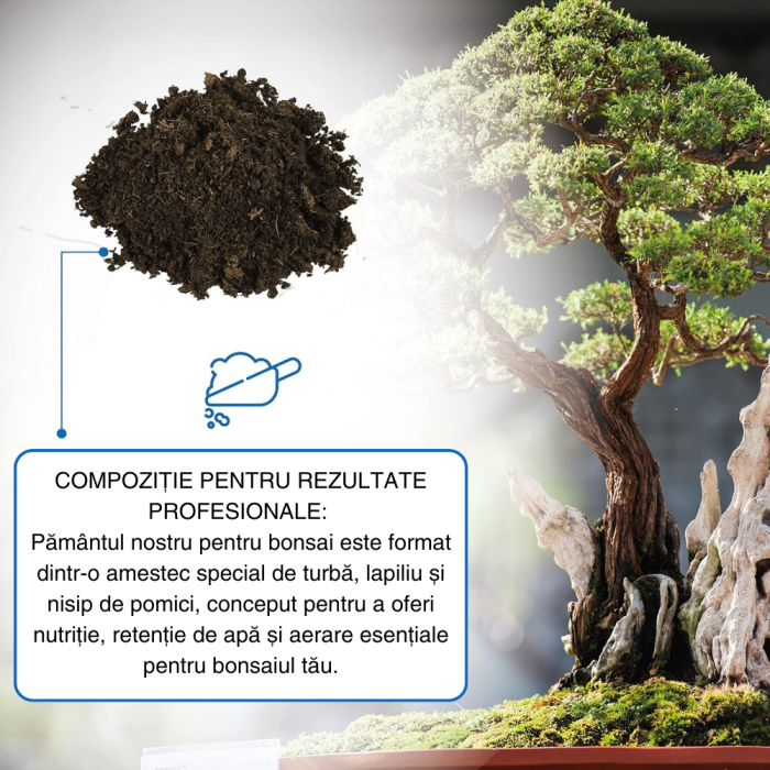 Pământ Bonsai Profesional  - Substrat pentru Rădăcini Mai Puternice și Aerare Optimă [5]