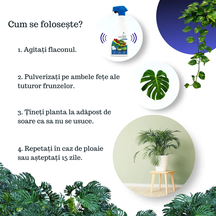 Spray Cupru si Sulf pentru Plante 1L, GebEarth, protejeaza impotriva ingalbenirii si bolilor fungice [3]