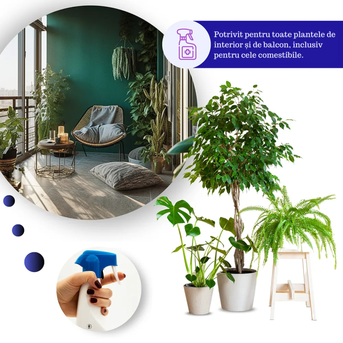 Spray Cupru si Sulf pentru Plante 1L, GebEarth, protejeaza impotriva ingalbenirii si bolilor fungice [8]