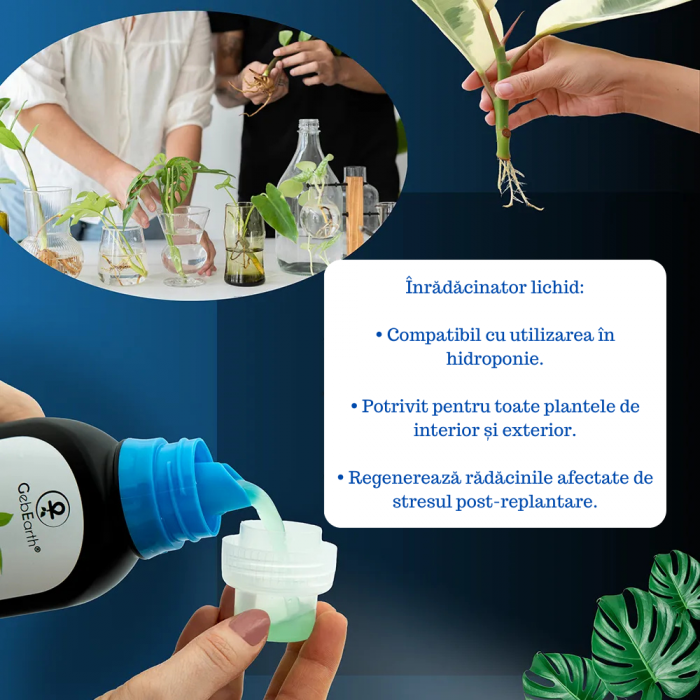 Stimulator de Inradacinare lichid - 500ml - [3]