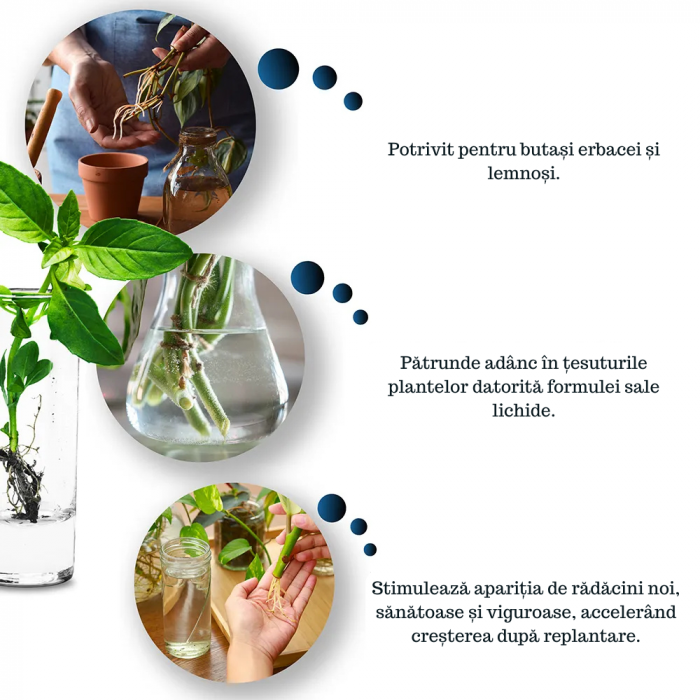 Stimulator de Inradacinare lichid - 500ml - [4]