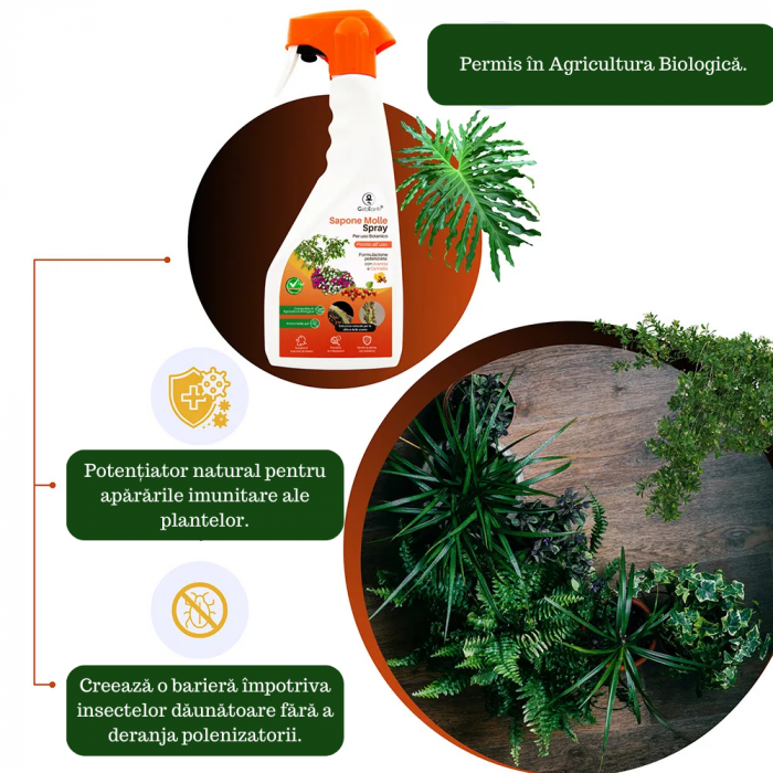 Săpun potasic spray - cu extract de portocale si scorțișoară - 500 ml [4]