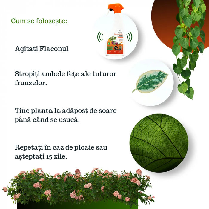 Săpun potasic spray - cu extract de portocale si scorțișoară - 500 ml [8]