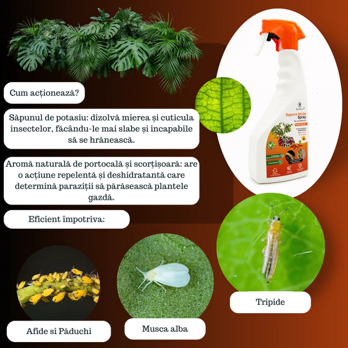 Săpun potasic spray - cu extract de portocale si scorțișoară - 500 ml [3]