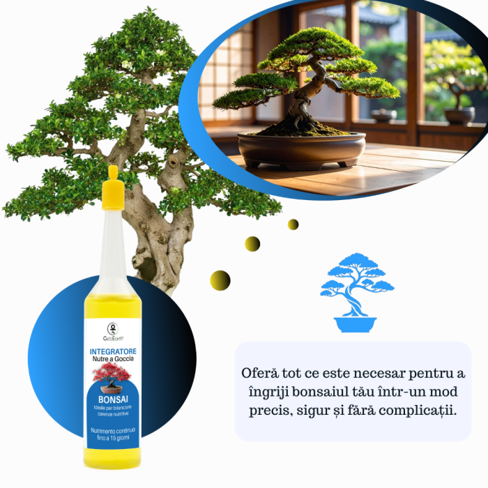 Supliment nutritiv prin picurare pentru bonsai - Elixir [4]