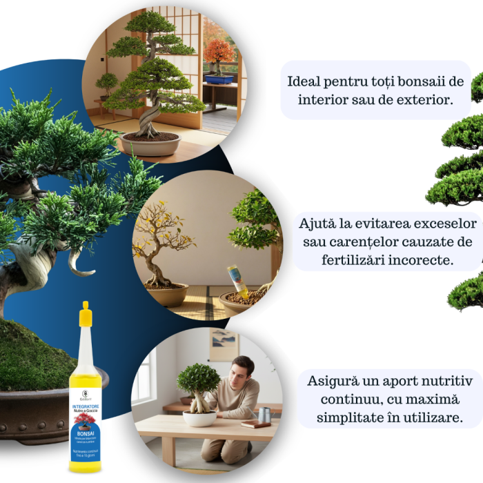 Supliment nutritiv prin picurare pentru bonsai - Elixir [3]