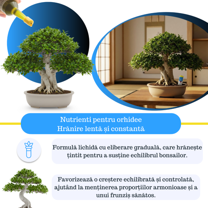Supliment nutritiv prin picurare pentru bonsai - Elixir [2]