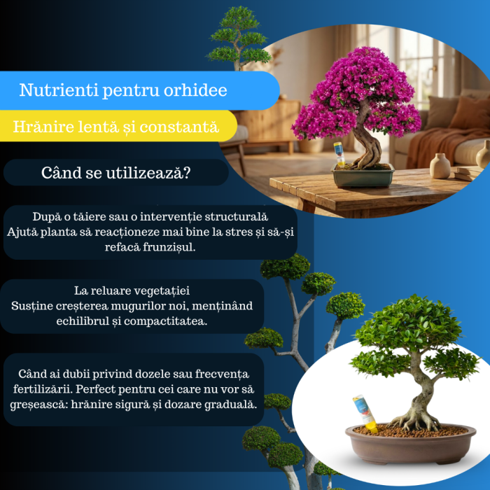 Supliment nutritiv prin picurare pentru bonsai - Elixir [5]