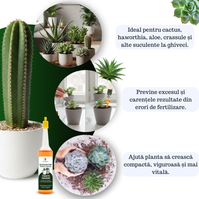 Supliment nutritiv prin picurare pentru orhidee - Elixir [5]