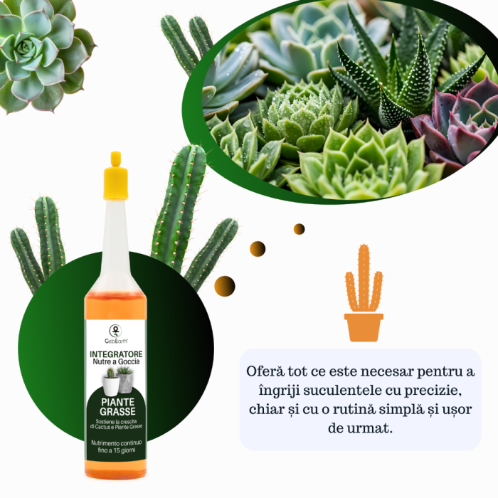 Supliment nutritiv prin picurare pentru orhidee - Elixir [3]