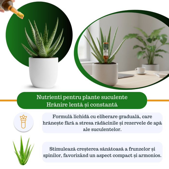 Supliment nutritiv prin picurare pentru orhidee - Elixir [2]