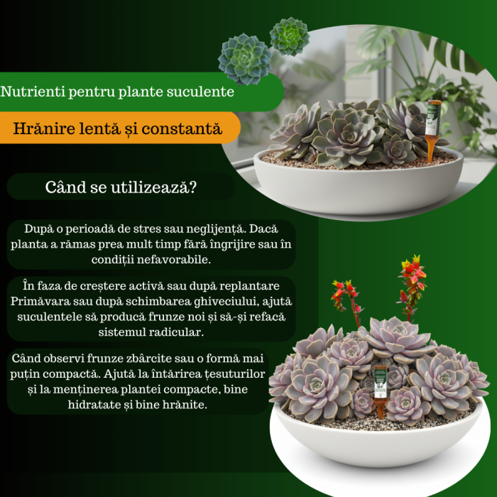 Supliment nutritiv prin picurare pentru orhidee - Elixir [4]