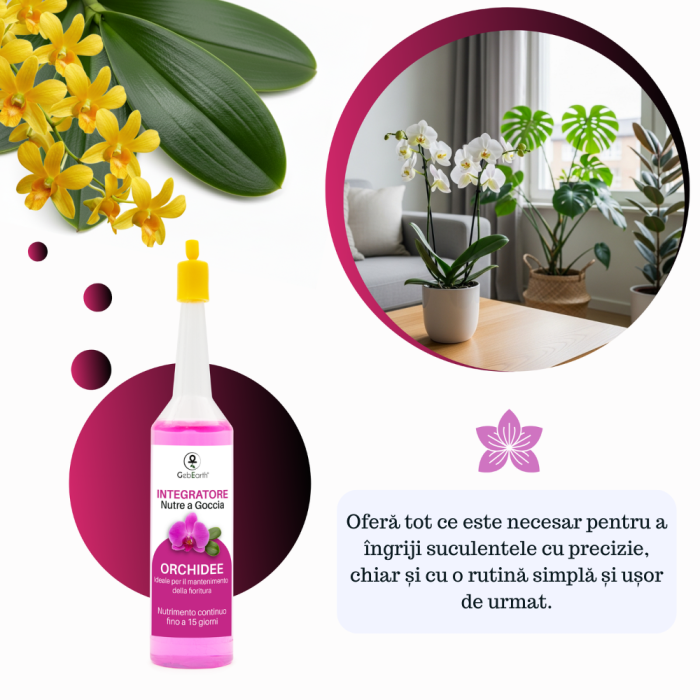 Supliment nutritiv prin picurare pentru orhidee - Elixir [2]