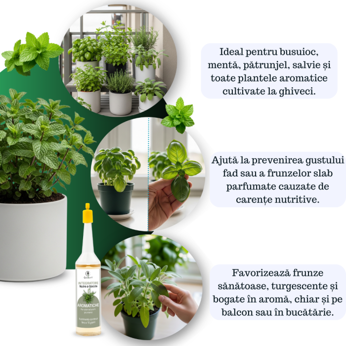 Supliment nutritiv prin picurare pentru plante aromatice - Elixir [3]