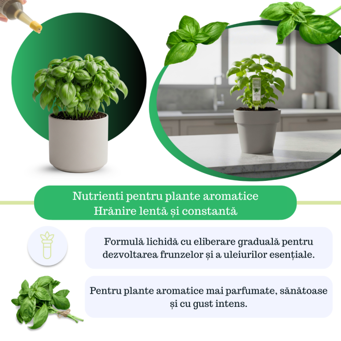 Supliment nutritiv prin picurare pentru plante aromatice - Elixir [5]