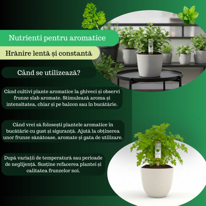 Supliment nutritiv prin picurare pentru plante aromatice - Elixir [6]