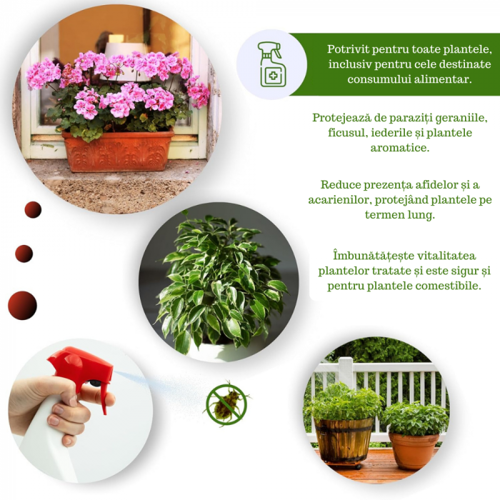 Ulei De Neem -1L - Spray [3]