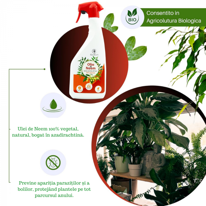 Ulei De Neem -1L - Spray [2]