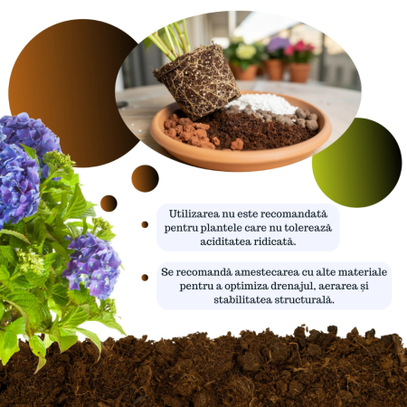 Turbă Blondă Acidă din Sfango Baltic – Substrat Premium pentru Dionea, Nepenthes, Afini și Azalee [3]