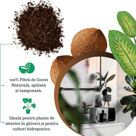 Fibra de cocos pentru Plante - Gata de utilizare [1]