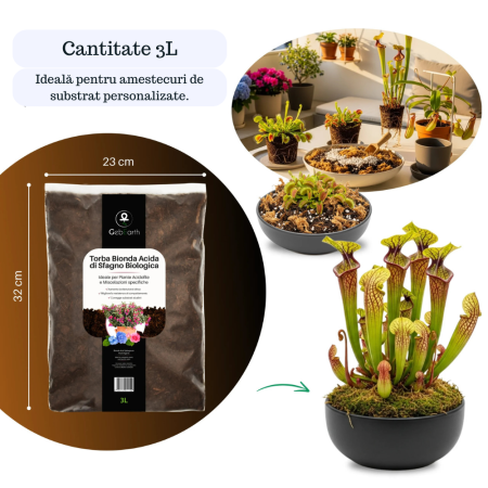Turbă Blondă Acidă din Sfango Baltic – Substrat Premium pentru Dionea, Nepenthes, Afini și Azalee [5]