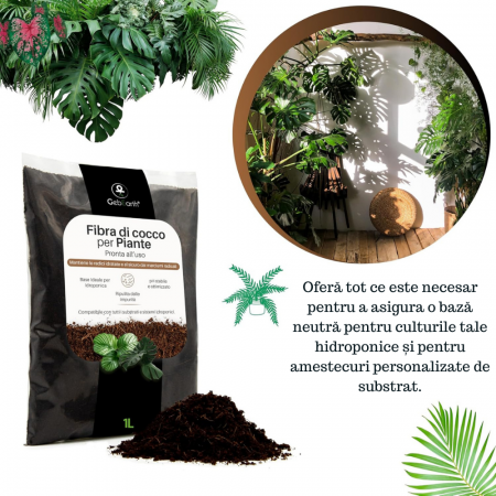 Fibra de cocos pentru Plante - Gata de utilizare [4]