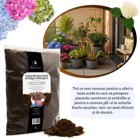 Turbă Blondă Acidă din Sfango Baltic – Substrat Premium pentru Dionea, Nepenthes, Afini și Azalee [4]