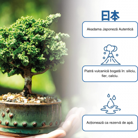 Akadama Japoneză Profesională pentru Bonsai 2-5 mm la 1L - Echilibru Perfect între Apă, Aer și Minerale [2]