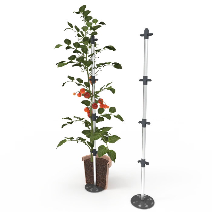 Ghivece - Arac Ghiveci - TOMATO BUDDY